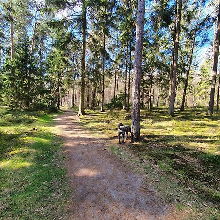 Ferienwohnung Schuberski Lipperreihe Exteriör bild